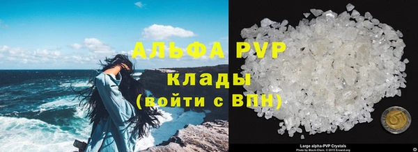 ECSTASY Балахна