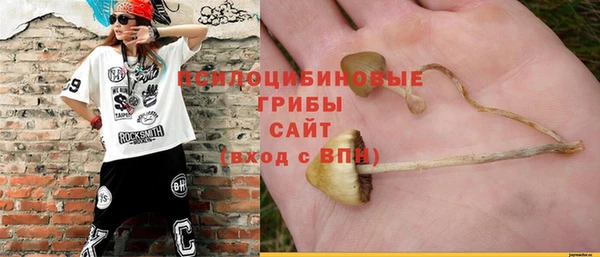 ECSTASY Балахна