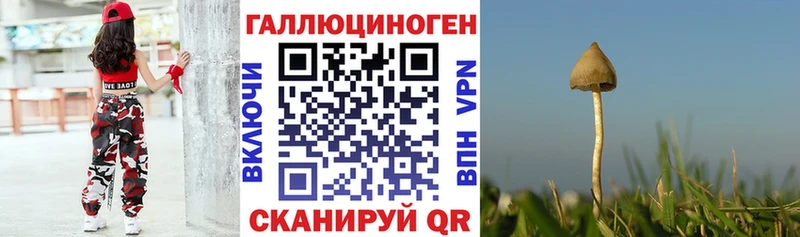 как найти   Корсаков  мега   Псилоцибиновые грибы прущие грибы 